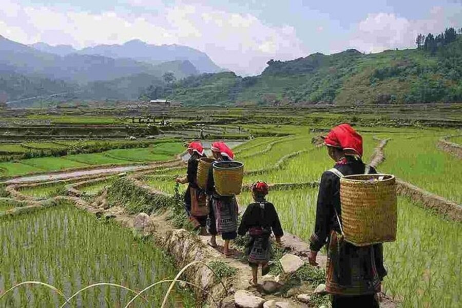 From Hanoi: 3-Day Sapa Trek with Guide, Homestay and Meals - Should you book this three-day Sapa tour?