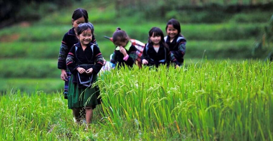 From Hanoi: 3-Day Sapa Trek with Guide, Homestay and Meals - Why this three-day Sapa route works