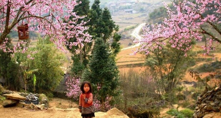 From Hanoi: 3-Day Sapa Trek with Guide, Homestay and Meals - The hill communities and what you learn