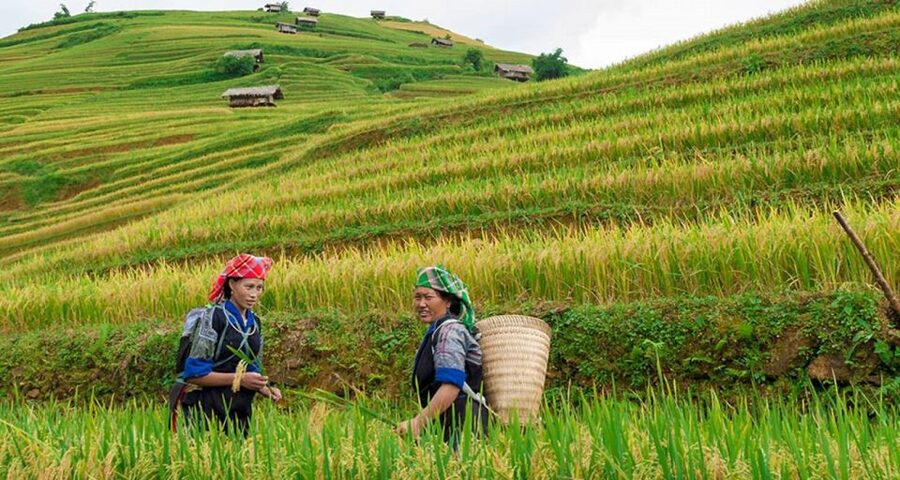 From Hanoi: 3-Day Sapa Trek with Guide, Homestay and Meals - What the $138 price really includes