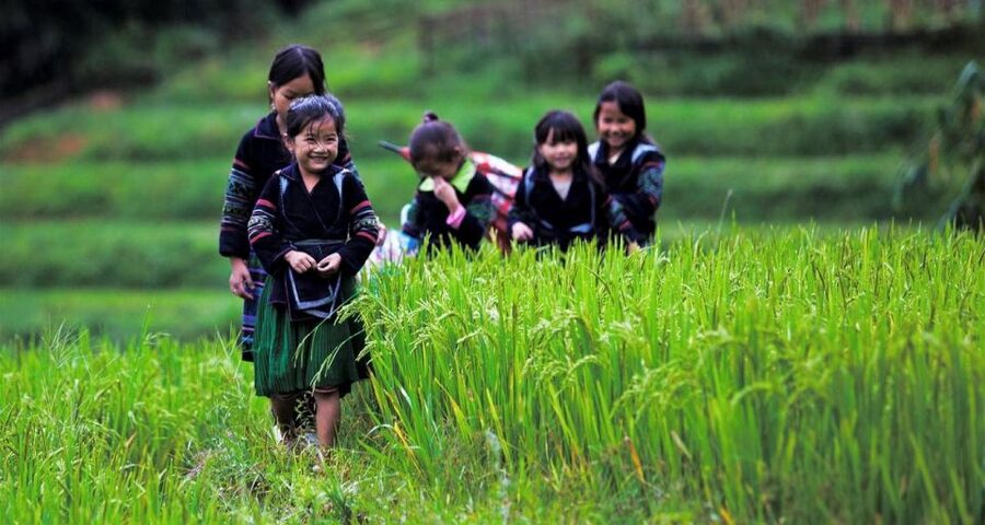 From Hanoi: 3-Day Sapa Trek with Guide, Homestay and Meals - Day one: Hanoi to Sapa and the Cat Cat waterfall