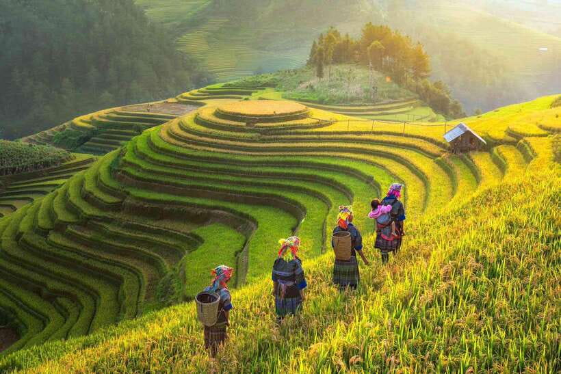 From Hanoi: 3-Day Sapa Trekking (sleep at hotel & homestay) - Why this Sapa trip works well for first-time hikers