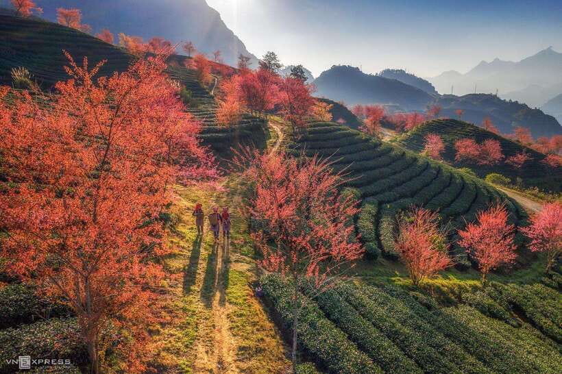 From Hanoi: 3-Day Sapa Trekking (sleep at hotel & homestay) - What the $114 price really covers
