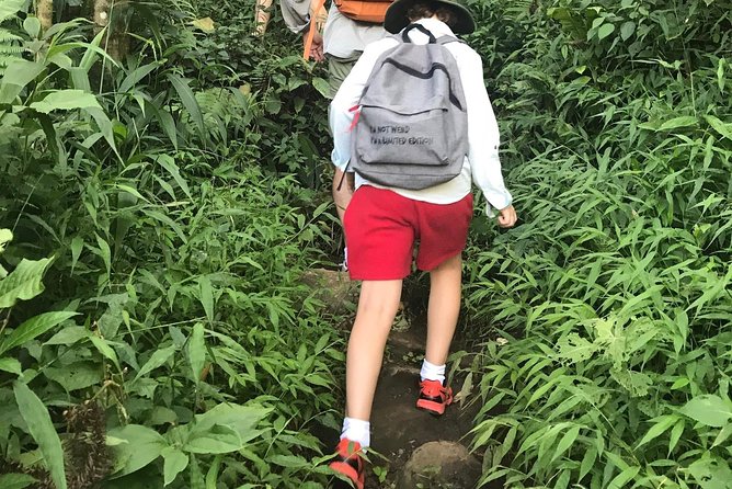 From Hanoi: 3 Days Luxury Sapa Trek & Fansipan Peak with Dcar - Day 3: Ham Rong Mountain before the long return