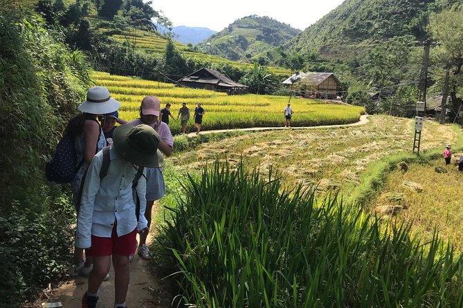 From Hanoi: 3 Days Luxury Sapa Trek & Fansipan Peak with Dcar - The weather question matters in Sapa