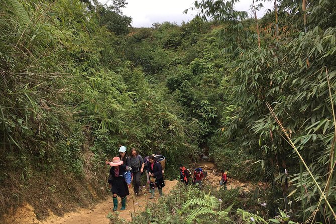 From Hanoi: 3 Days Luxury Sapa Trek & Fansipan Peak with Dcar - How active is the walking?