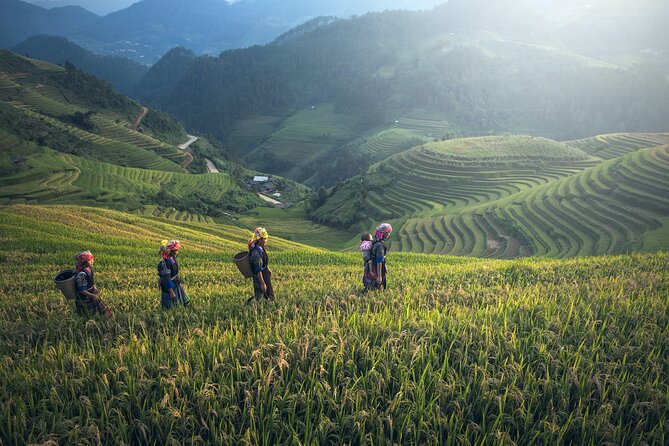 From Hanoi: 3 Days Sapa Trekking & Ethnic Villages by Dcar - The hotel, food, and transport in practical terms
