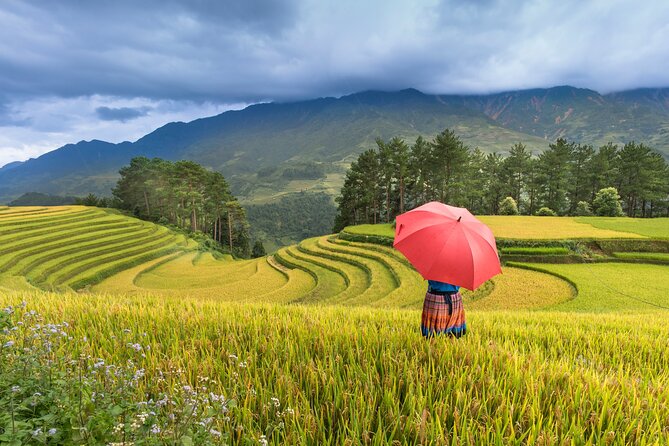 From Hanoi: 3 Days Sapa Trekking & Ethnic Villages by Dcar - Day 3: Ham Rong and the return to Hanoi