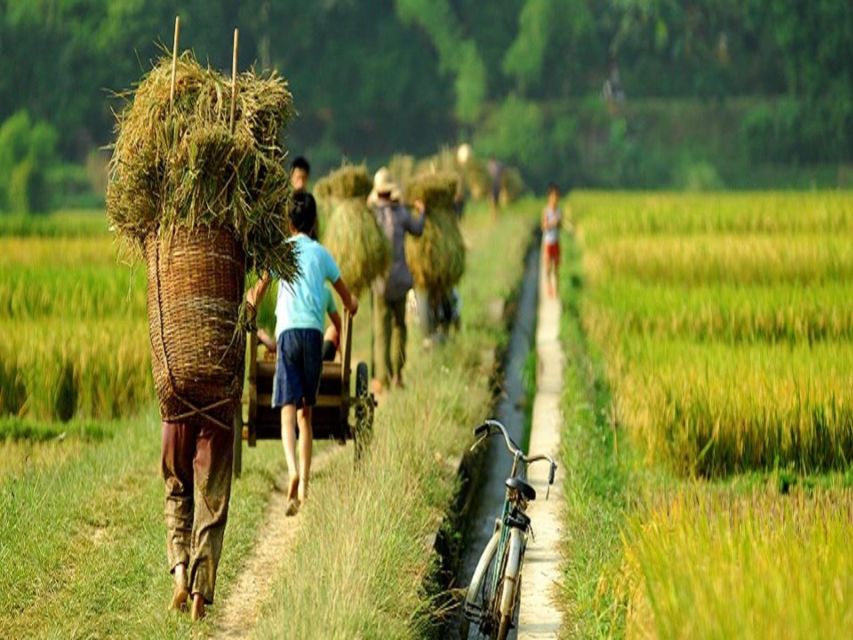 From Hanoi: Mai Chau Valley & Hill Tribes 2-Day Trek Tour - The second morning: a short ride before the rural trek
