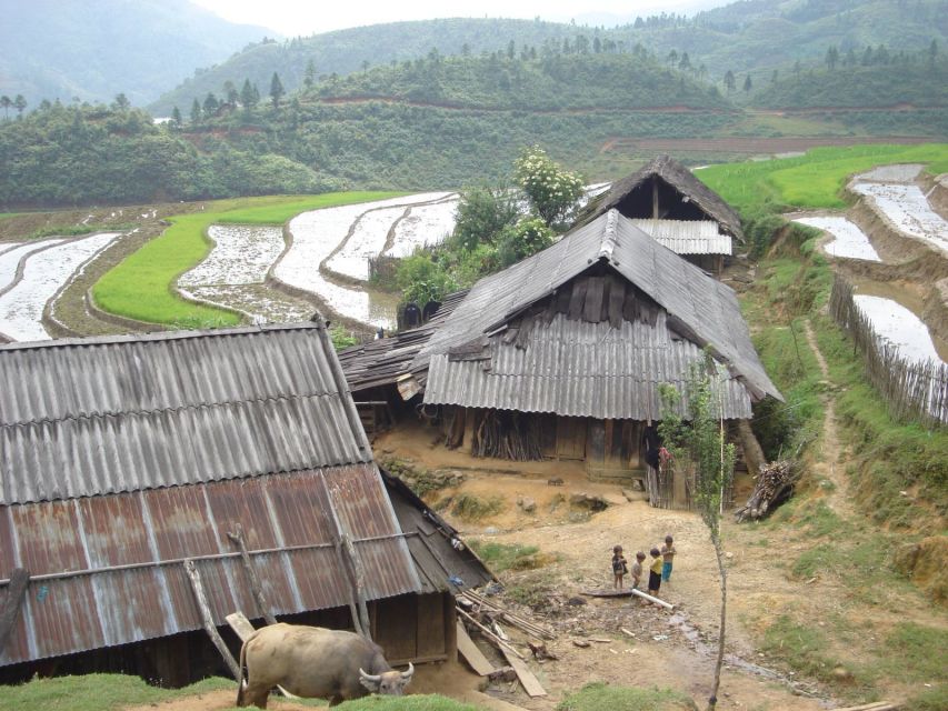 From Hanoi: Sapa 3-Day Medium Trek and Limousine Trip - What the Ta Van homestay is really like
