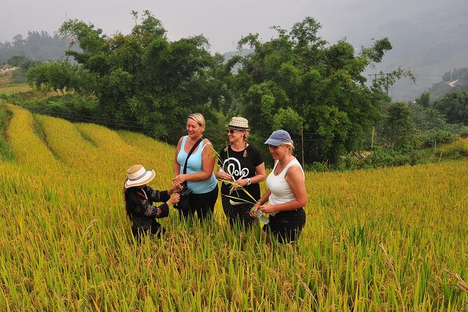 From Hanoi : Sapa Moutain Trek - Halong bay Heritage - Day 1: Hanoi to Sapa and the first Black H’mong village