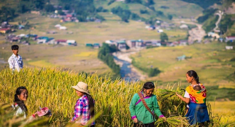 From Hanoi: Trek and Stay: 3-Day Sapa Highlands Adventure - Hotel, homestay, meals, and what to pack