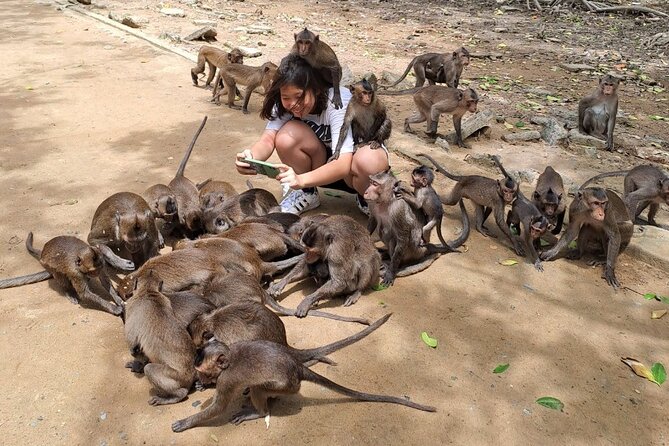 From Ho Chi Minh: Can Gio Trek – Monkey Island & Crocodile Farm - Monkey Island and the art of guarding your belongings