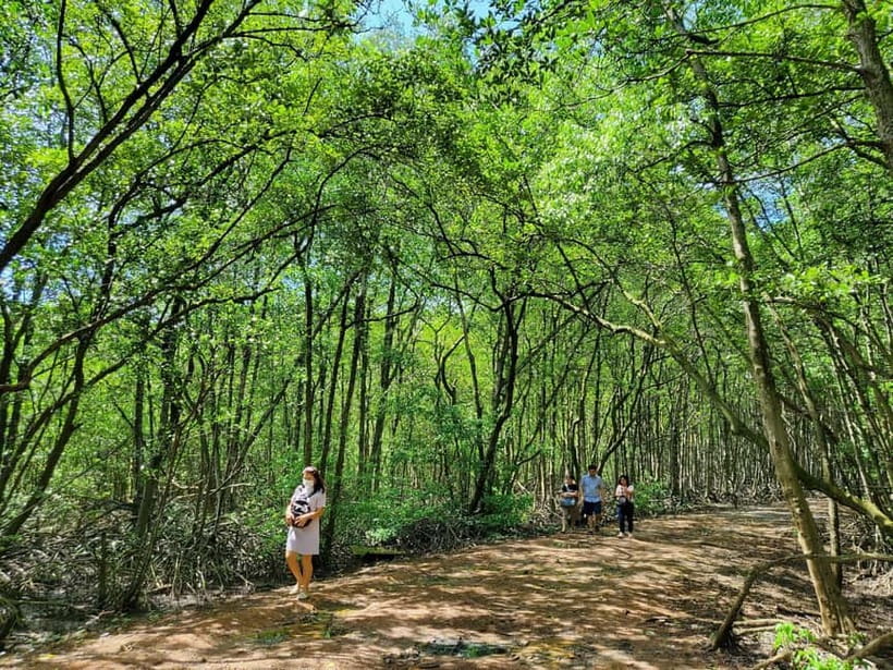 From Ho Chi Minh City: Can Gio Mangrove & Monkey Island Trek - Why Can Gio makes a good break from Ho Chi Minh City