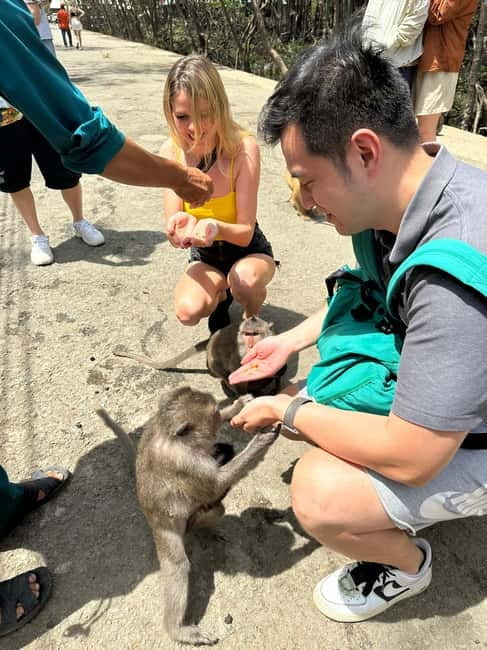 From Ho Chi Minh City: Can Gio Mangrove & Monkey Island Trek - Is $34 good value?