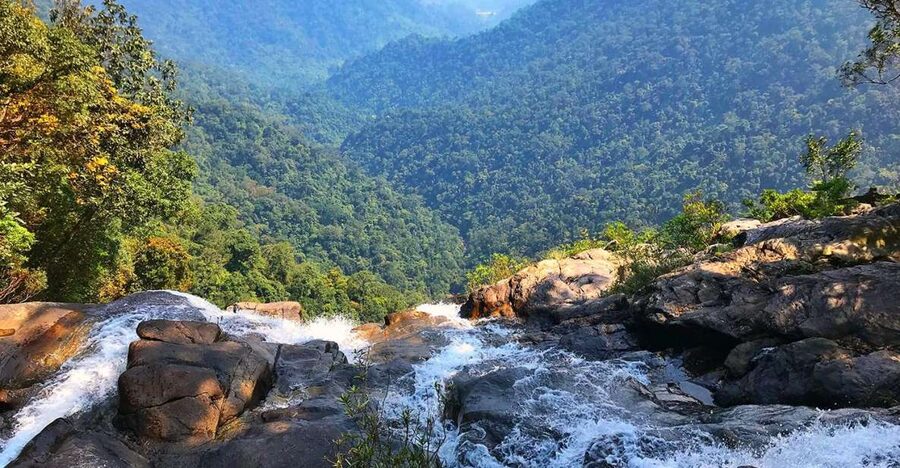 From Hue/Da Nang/Hoi An: Bach Ma National Park Trekking Tour - Who will enjoy this tour most