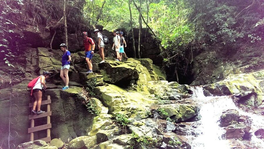 From Hue/Da Nang/Hoi An: Bach Ma National Park Trekking Tour - Morning pickups from three Central Vietnam bases