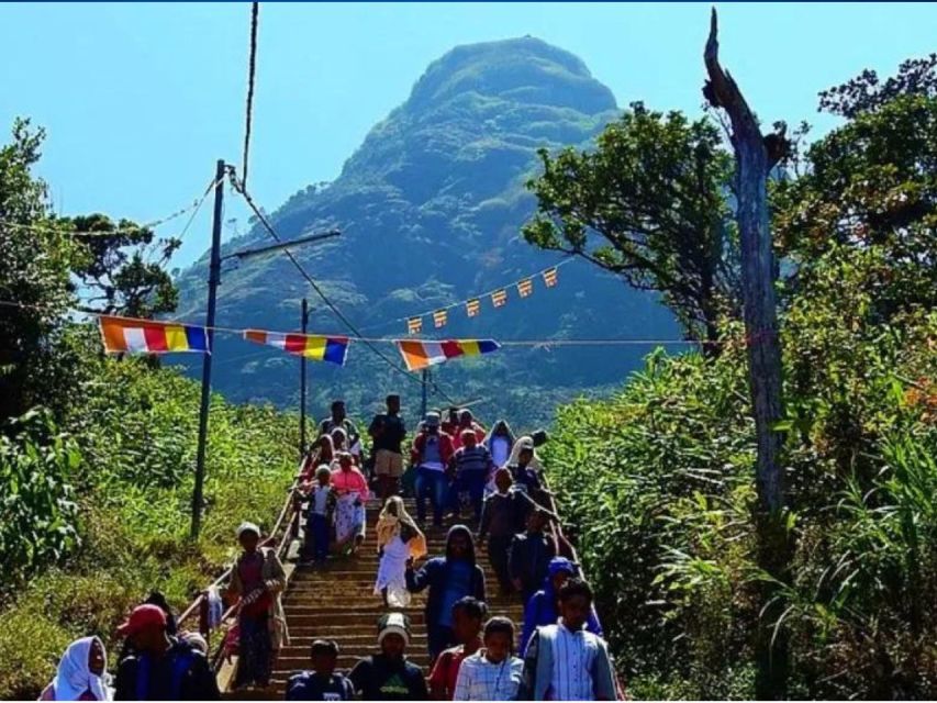 From Kandy: All Inclusive Adams Peak Epic Guided Hike - Meeting your guide at Nallatanniya
