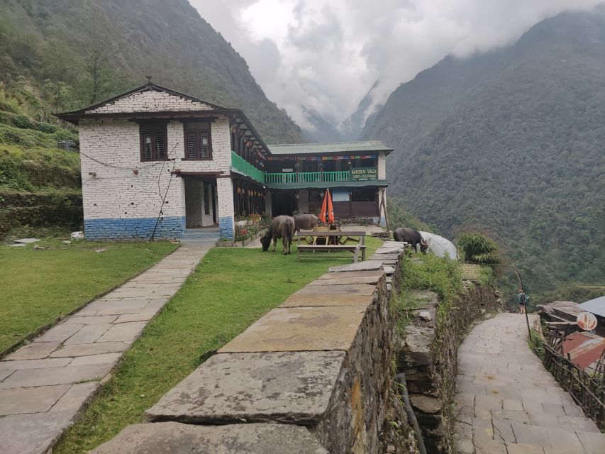 From Kathmandu: 7-Day Annapurna Basecamp Trek - What this seven-day trek is really like