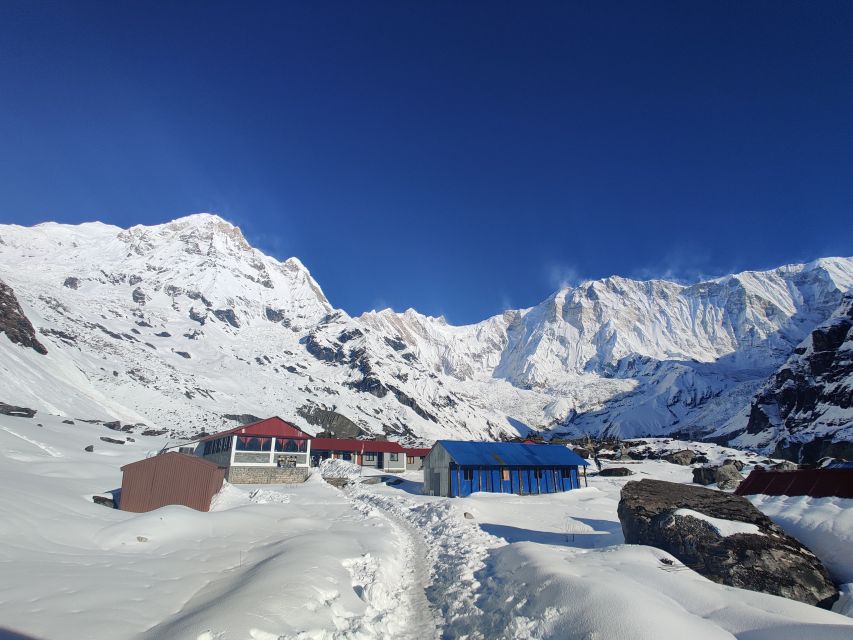 From Kathmandu: 7-Day Annapurna Basecamp Trek - Day 6: Sunrise, breakfast, and the long descent