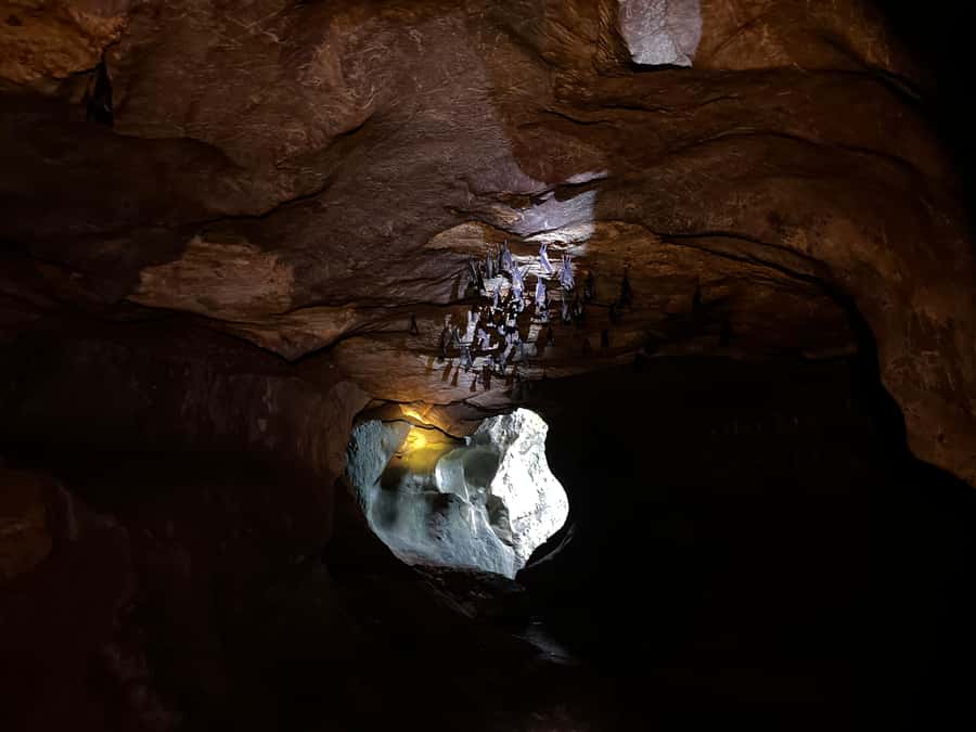 From Khao Sok: Half-Day Rainforest Trek with Local Guides - Is $70 a fair price?
