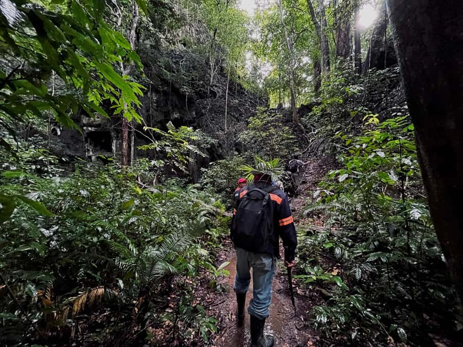 From Khao Sok: Half-Day Rainforest Trek with Local Guides - Why this Khao Sok trek feels different