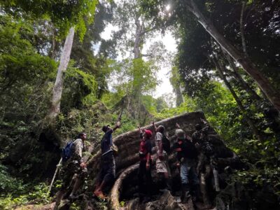 From Khao Sok: Half-Day Rainforest Trek with Local Guides