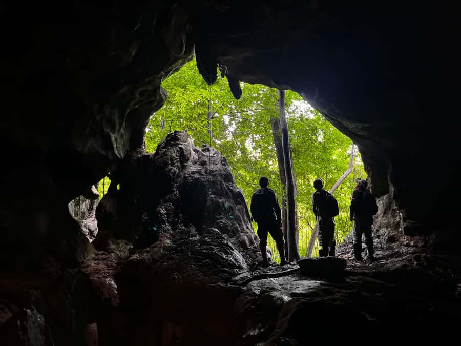 From Khao Sok: Half-Day Rainforest Trek with Local Guides - From rainforest to plantations and village work