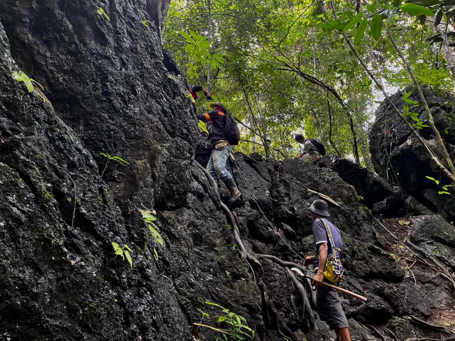 From Khao Sok: Half-Day Rainforest Trek with Local Guides - The packed meal and local welcome