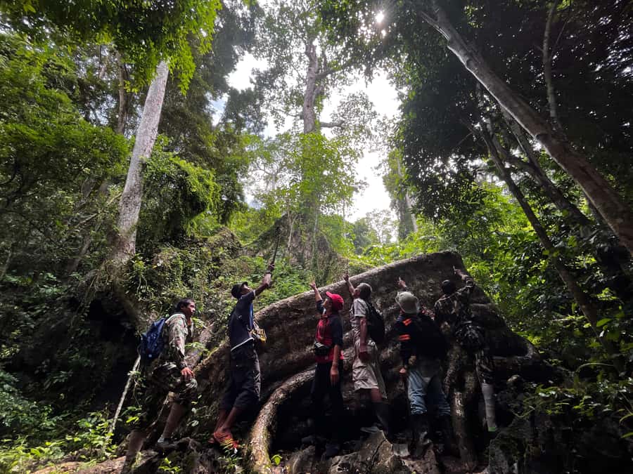 From Khao Sok: Half-Day Rainforest Trek with Local Guides - Starting at Halo Tor Tao or from your accommodation