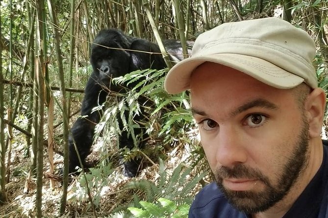 From Kigali: 10 Hour Day-trip Rwanda Gorilla Trekking with Lunch - Searching for the gorilla family