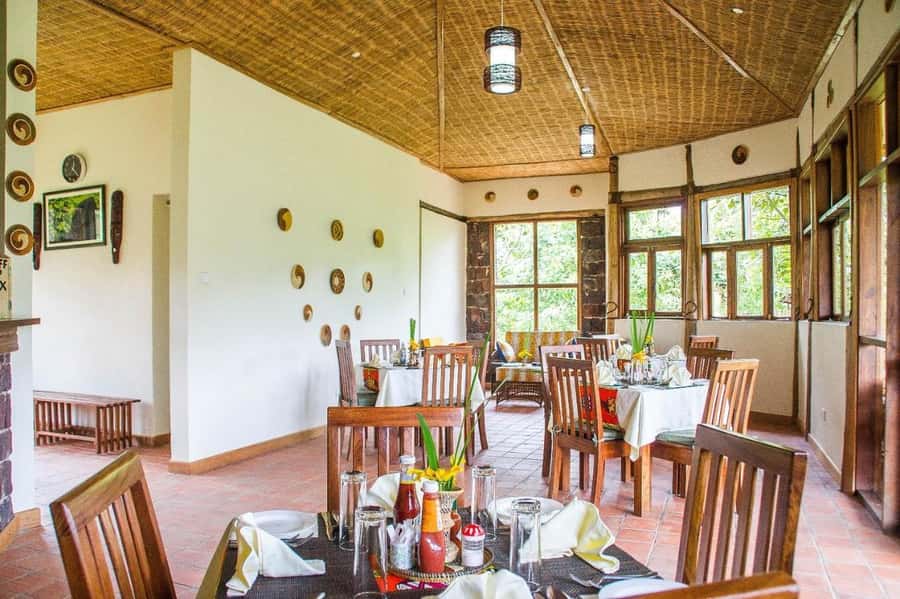 From Kigali: 2-Day Gorilla Trek: Bwindi Nat Park - Who should book this two-day trip?