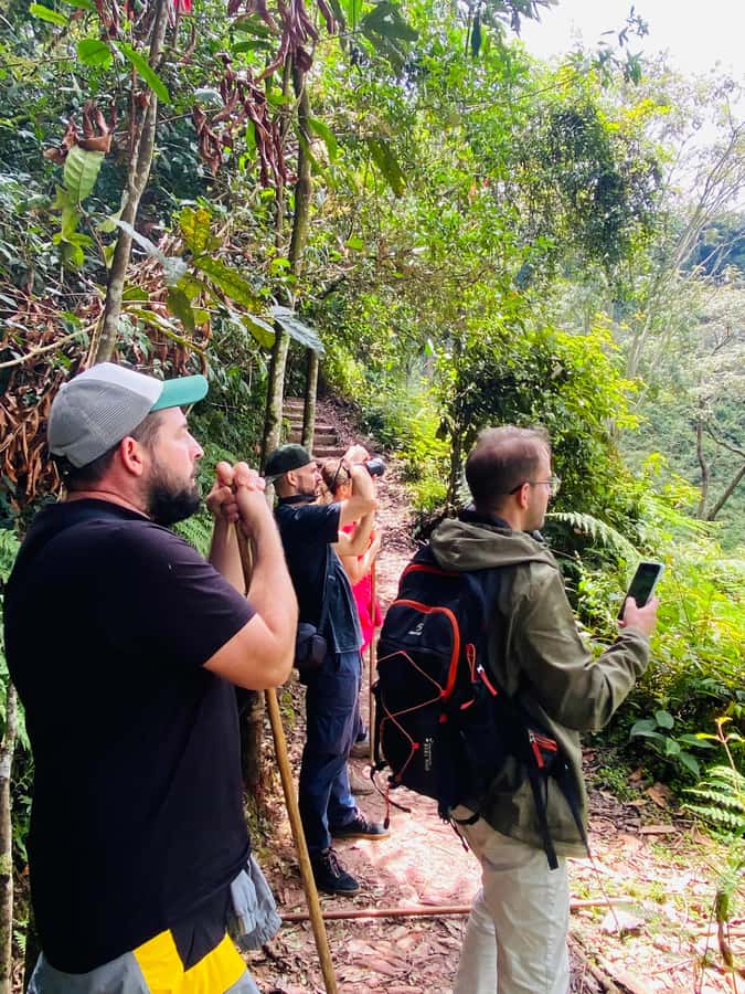 From Kigali: 2 days chimpanzee trekking and canopy walk - Key points to know before booking