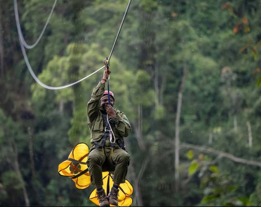 From Kigali: 2 days chimpanzee trekking and canopy walk - Why Nyungwe works so well as a two-day trip
