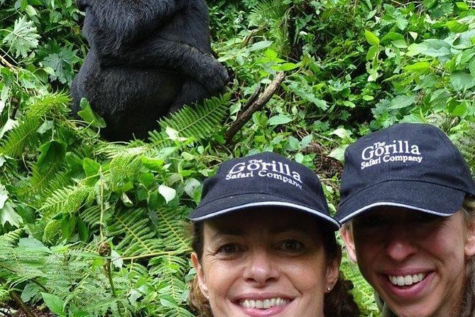 From Kigali: 3 Days Gorillas and golden monkeys trek Adventure - The real price of a gorilla weekend