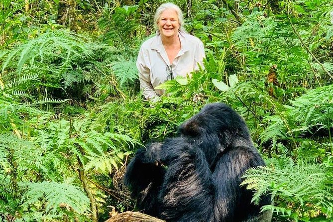From Kigali: 3 Days Gorillas and golden monkeys trek Adventure - Day three: finding golden monkeys in the bamboo forest