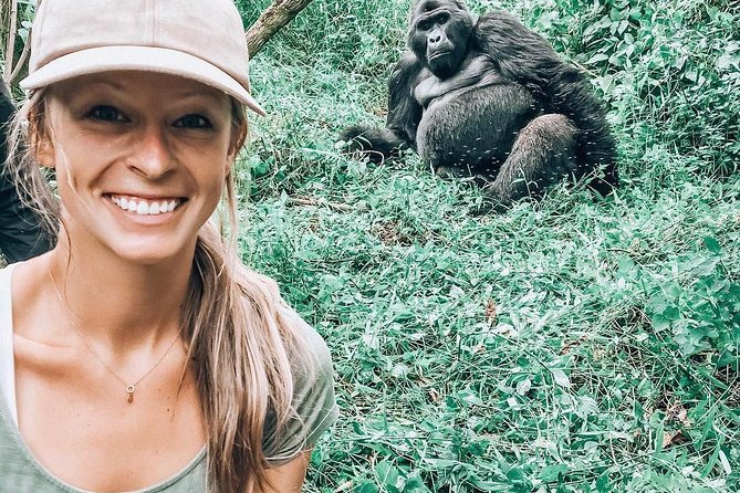 From Kigali: 3 Days Gorillas and golden monkeys trek Adventure - The service record and what it tells you