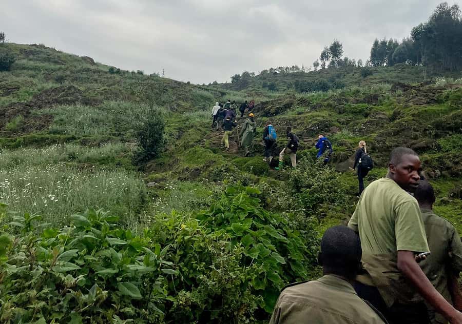 From Kigali: Bisoke Summit Trek, Crater Lake 1 Day Safari - Mud, altitude, and the volcanic upper trail