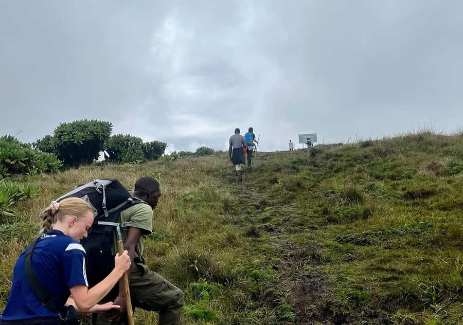 From Kigali: Bisoke Summit Trek, Crater Lake 1 Day Safari - The two-hour descent
