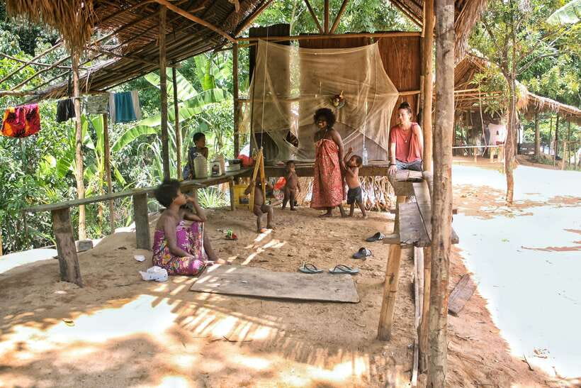 From Kuala Lumpur: Taman Negara National Park Trek Day Tour - What the guides add to the day