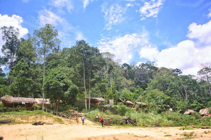 From Kuala Lumpur: Taman Negara National Park Trek Day Tour - Is $177 good value?