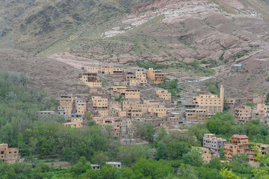 From Marrakech: Atlas Mountains Summit Trek - The Argan cooperative on the way back