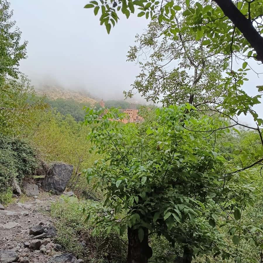 From Marrakech: Atlas Mountains Summit Trek - Who should book this Atlas Mountains day trip
