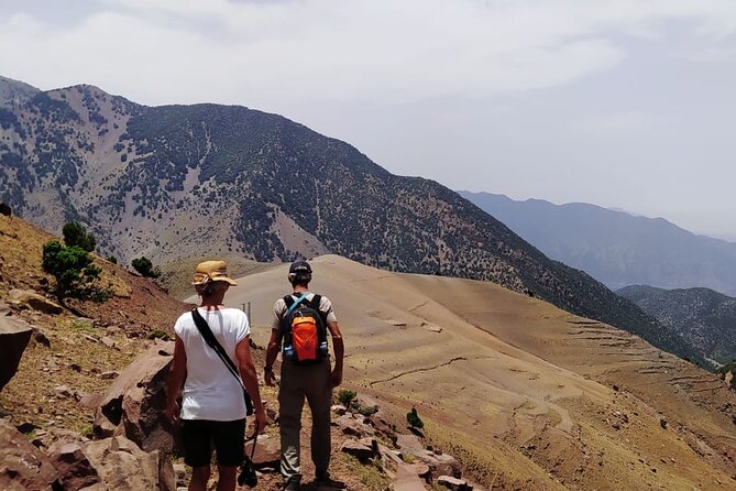From Marrakech: Atlas Mountains Talamrout Summit day hike & Trek - Guides, group size, and the feel of the day