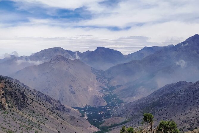 From Marrakech: Atlas Mountains Talamrout Summit day hike & Trek - Through pine and cedar forest toward Adrar Talamrout
