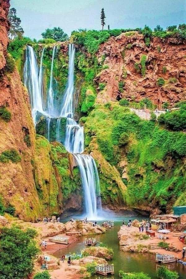 From Marrakech: Ouzoud Waterfalls Guided Hike and Boat Trip - Barbary monkeys around the falls
