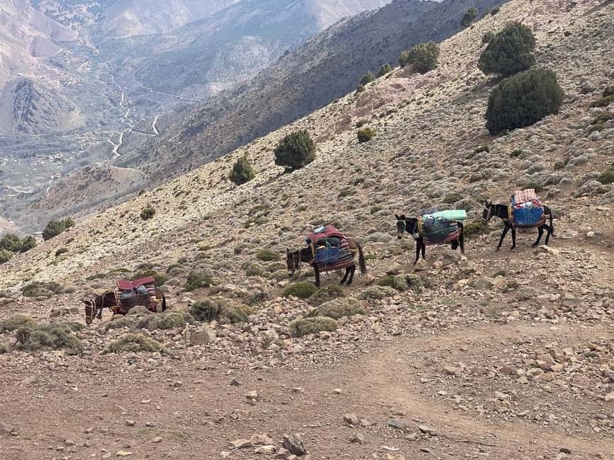 From Marrakech: Trek to Atlas Mountains, Full-Day Trip Lunch - Why this is a good escape from Marrakech