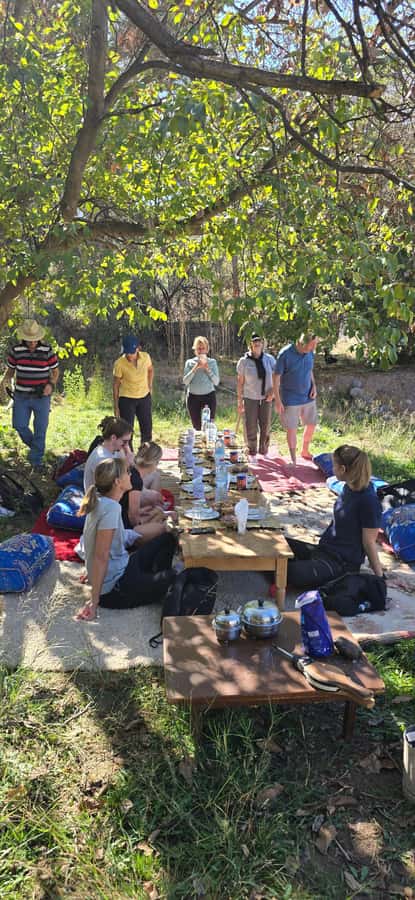 From Marrakech:Trekking in Atlas mountains 2 days - Who should book this Atlas Mountains trek?