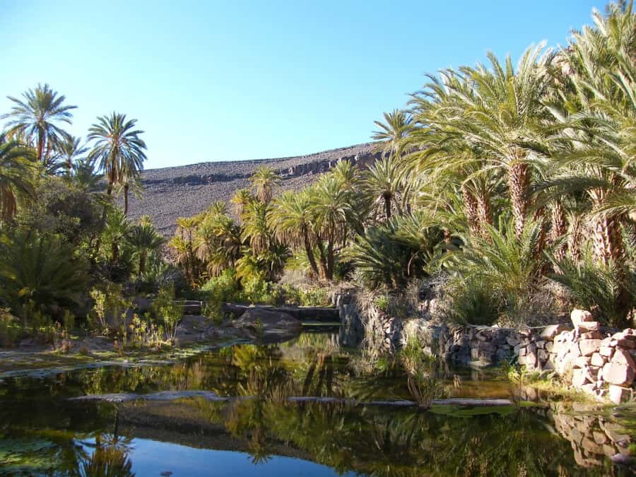From Marrakesh: 2-Day Trek to Ait-Benhaddou and Ouarzazate - Ouarzazate, Taourirt Kasbah, and movie country