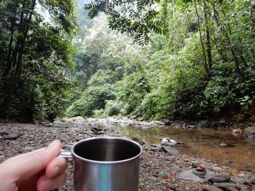 From Medan: 4 day tour to Bukit Lawang incl. jungle trek - Should you book it?